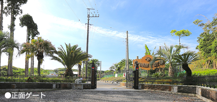 正面ゲート